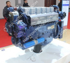 Weichai Original Diesel Motor(WP10.300NE31)