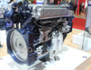 Weichai Original Diesel Motor(WP10.310E52) 