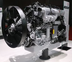 Weichai Original Diesel Motor(WP13.530E501) 