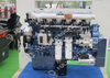 Weichai Original Diesel Motor(WP12.340E32)