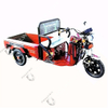 Seenwon Electric Tricycle SW008 Supply by Fullwon