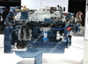 Weichai Original Diesel Motor(WP10NG300E52) 