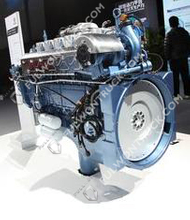 Weichai Original Diesel Motor(WP10.336E53) 