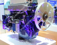 Weichai Original Diesel Moto(WP10.336E41)