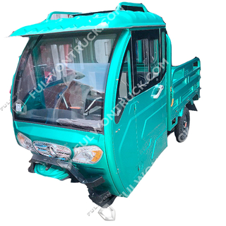 Seenwon Electric Tricycle SW014 Supply by Fullwon
