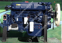 Weichai Original Diesel Moto(WP10NG330E40)