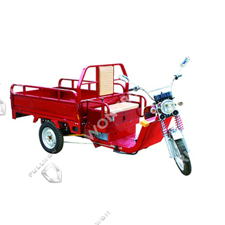 Seenwon Electric Tricycle SW009 Supply by Fullwon