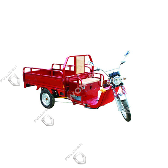 Seenwon electric tricycle SW009 supply by fullwon