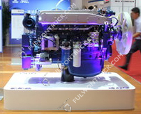 Weichai Original Diesel Moto(WP10NG336E40)