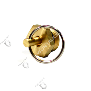 SEENWON Cheap Air discharge valve