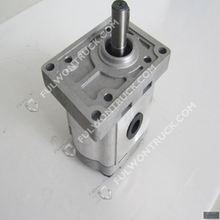 XCMG Tower crane gear pumps