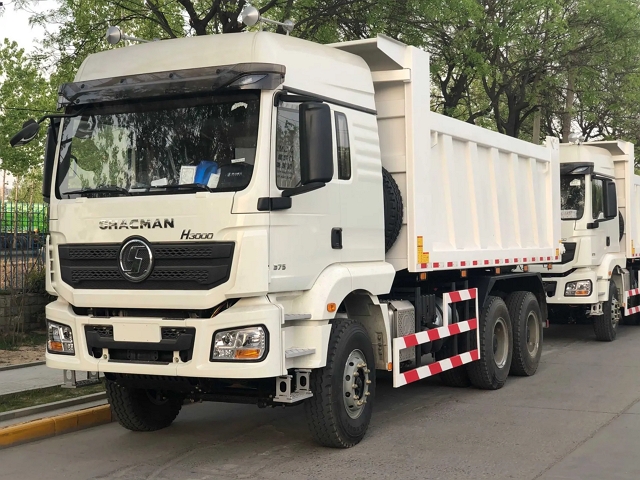 Shacman Dump Truck (3).jpg