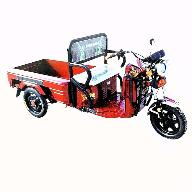 Seenwon electric tricycle SW008 supply by fullwon