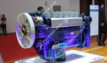 Weichai Original Diesel Moto(WP10.310E43)
