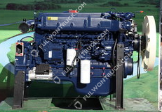Weichai Original Diesel Moto(WP10.336E43)